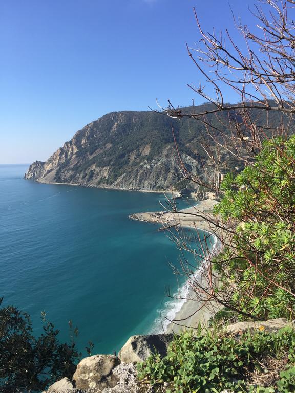 Appartement Acciuga à Monterosso al Mare Extérieur photo